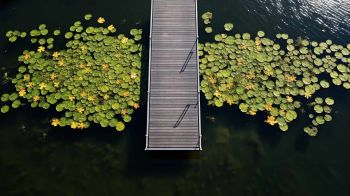 Technus Bootsstege kaufen